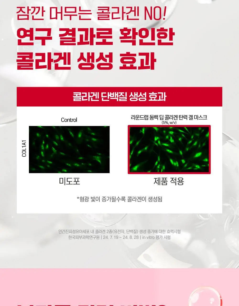 [속광탄력/콜라겐팩] 라운드랩 동백 딥 콜라겐 탄력 겔 마스크 1매 상세페이지 24